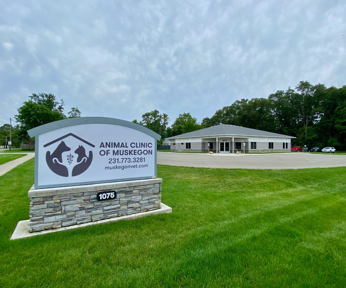 ACM- Building with Sign