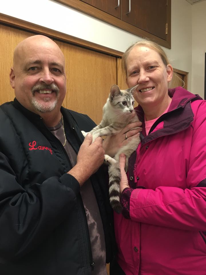 A man and woman gently hold a cat together