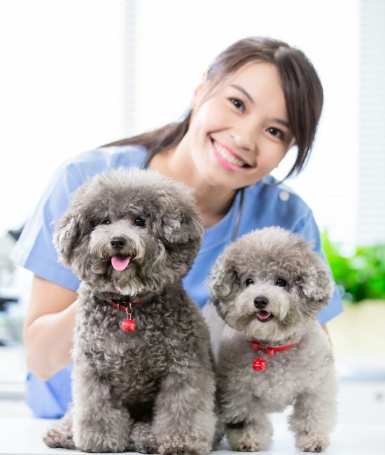 a woman wearing a blue scrub top stands beside a dogs