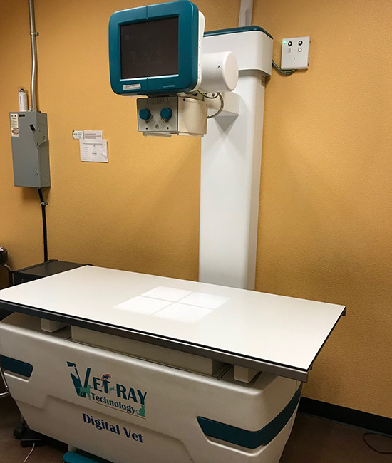 veterinary x-ray machine