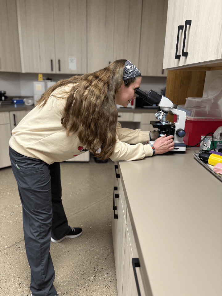 Dr. Steffes Looking at Microscope Dr. Steffes Looking at Microscope