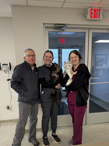 Mallory, Grace, Dr. Lelli and Maine Coons