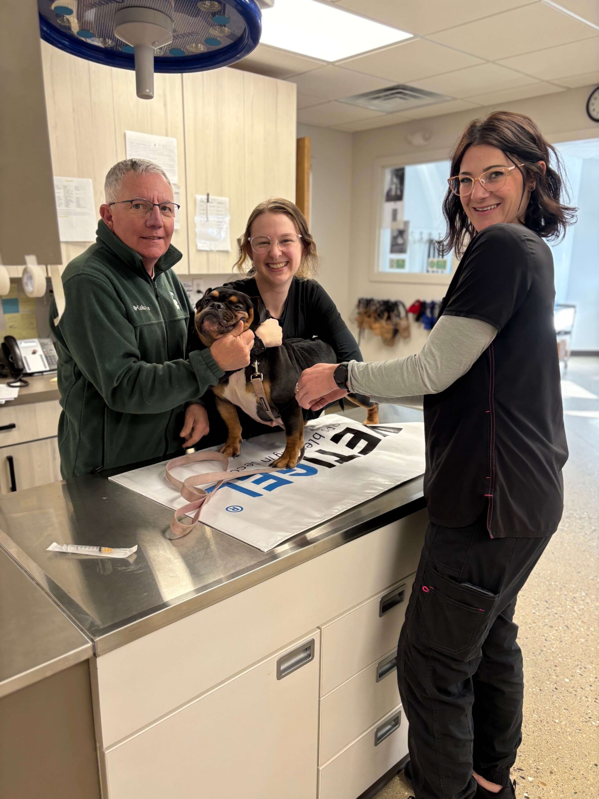 two vet staff and a vet examining a dog