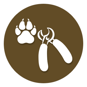 pet nail clipping icon