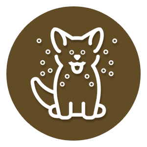 pet dental icon