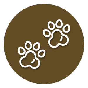 pet boarding icon