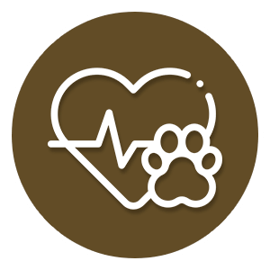 pet vaccination icon