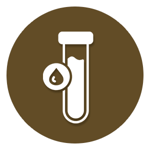 pet dental icon