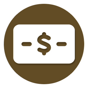 cash icon