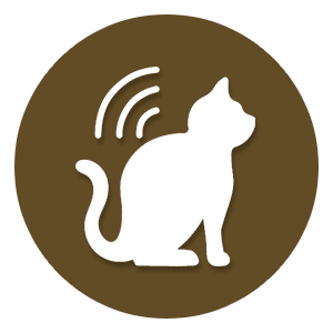 pet microchipping icon