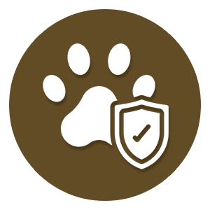 pet vaccinations icon