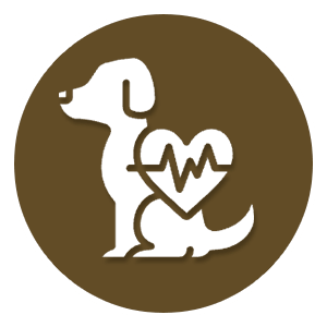 pet microchipping icon